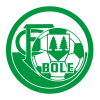Logo_FC_Bole_2021_Vert_100