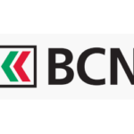 bcn-300-250